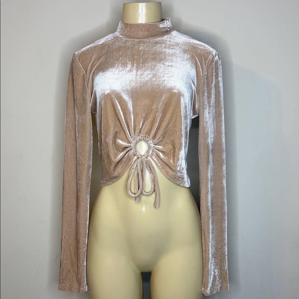 Lulus Velvet Mock Neck Ruched Drawstring Crop Top - Blush Size S